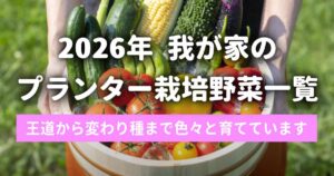 我が家のプランター栽培中の野菜一覧