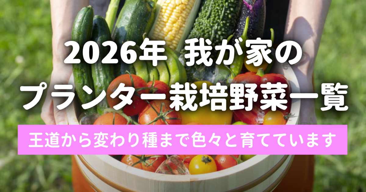 我が家のプランター栽培中の野菜一覧