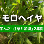 失敗から学んだ「植えすぎ注意」と「摘心の加減」