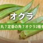 ２種類のオクラをプランターで栽培