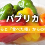 【パプリカ栽培】2年間の記録