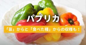 【パプリカ栽培】2年間の記録