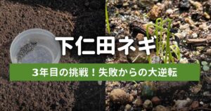 【3年目の正直】下仁田ネギ栽培日記｜種まき〜発芽編