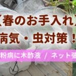 春のお手入れや病気、害虫対策