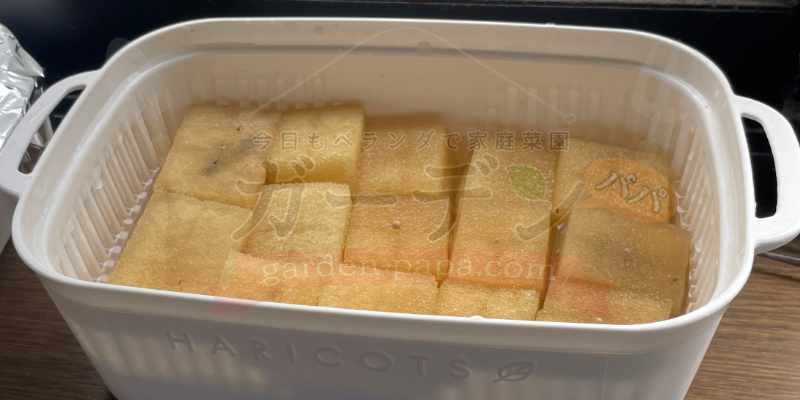 アイスプラントの水耕栽培。種まき初日から光の当たる窓際へ