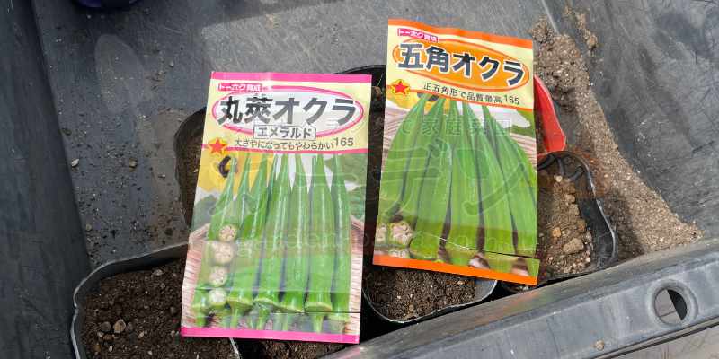 角オクラと丸オクラの種が入った袋を並べている様子
