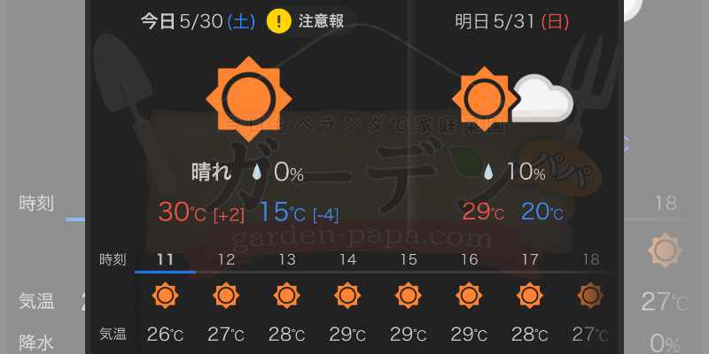 【5月下旬】ズッキーニの種まき開始!直まき予定から急きょ「ポットまき」に変更した我が家の裏事情 ズッキーニの種蒔き当日の天気